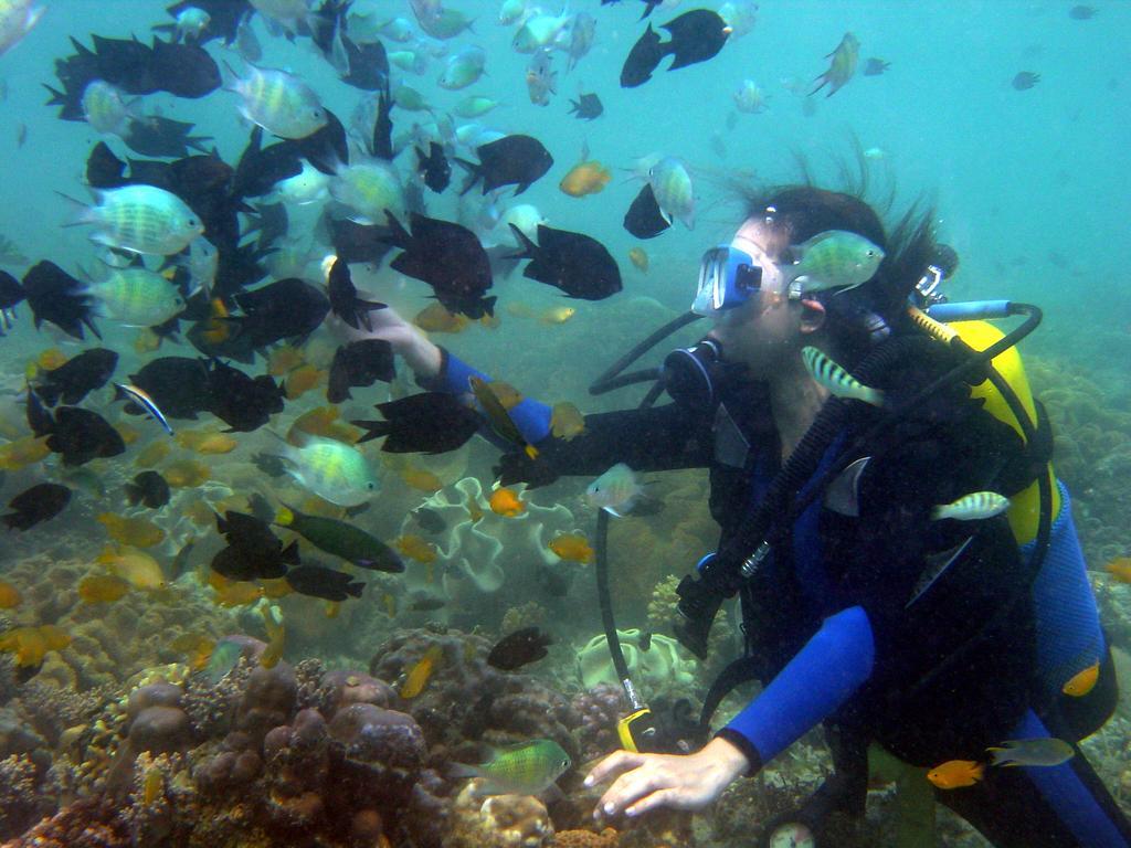 Paradise Island Park & Beach Resort Samal Kültér fotó